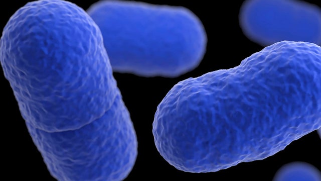 Listeria Death