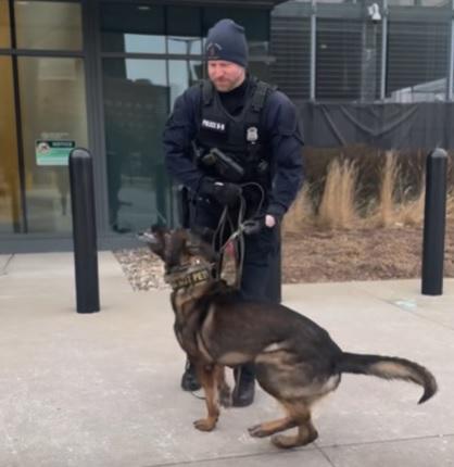 Detroit Police K-9 in training 