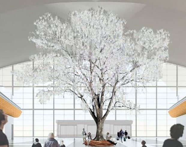 tree1.jpg 