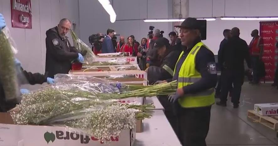940 million flowers are traveling through Miami for Valentine’s Day
