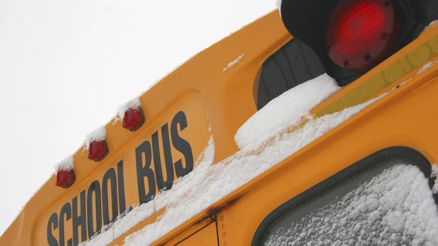 School Closed for Snow Day School Buses