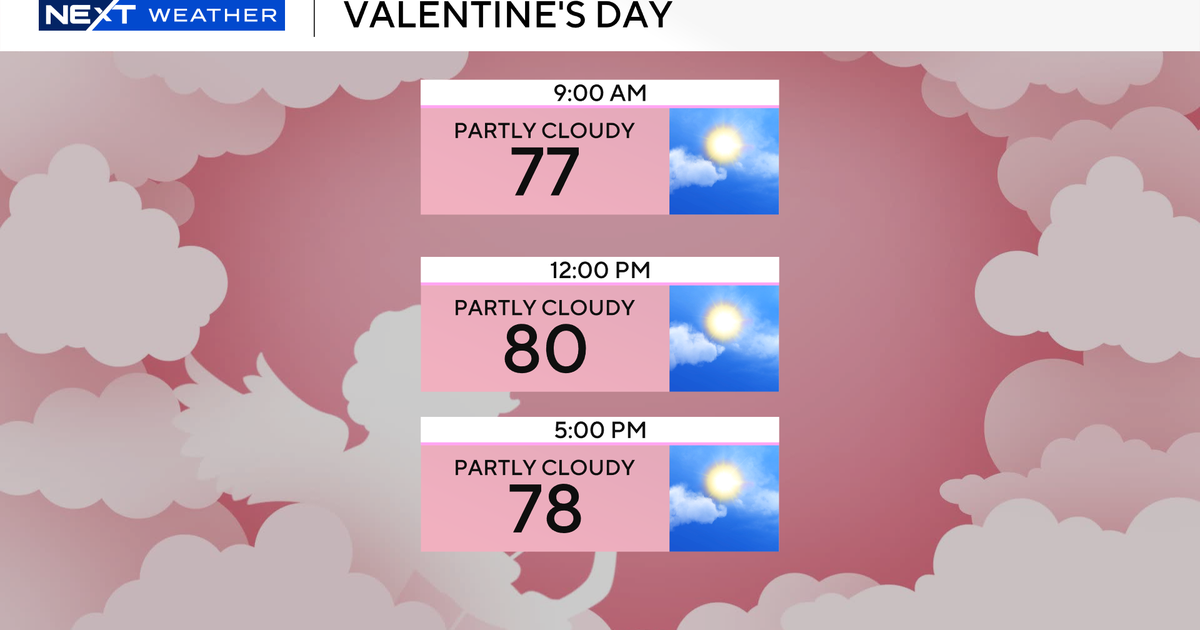 Sunny South Florida for Valentine’s Day plans Sunny South Florida for Valentine’s Day plans