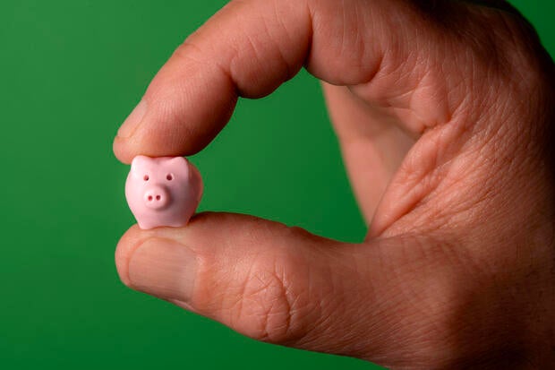 Pinching piggy bank 