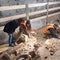 "Monumental necropolis" of 200 ancient tombs unearthed in Italy