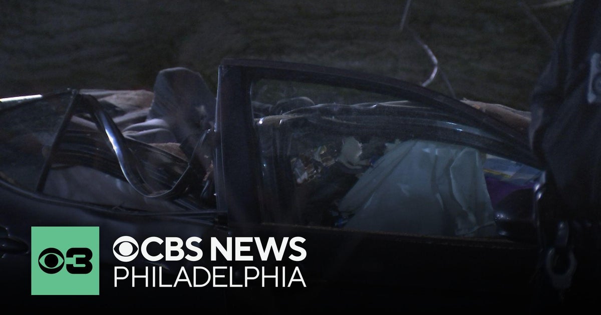 Woman dead after tree falls on car in Northeast Philly, police say ...