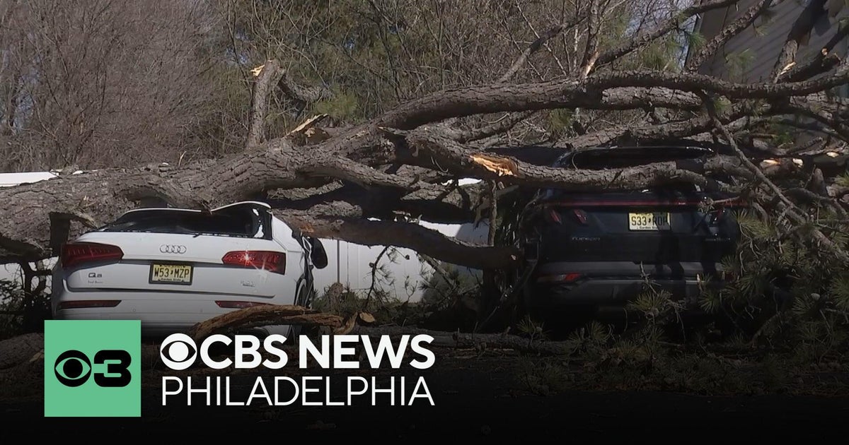 Cleanup continues in South Jersey after strong winds knock down trees ...