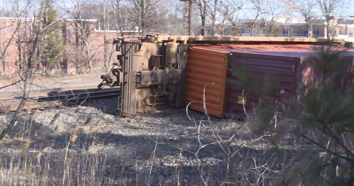 Freight Train Derailment Disrupts NJ Transit Service on Raritan Valley Line