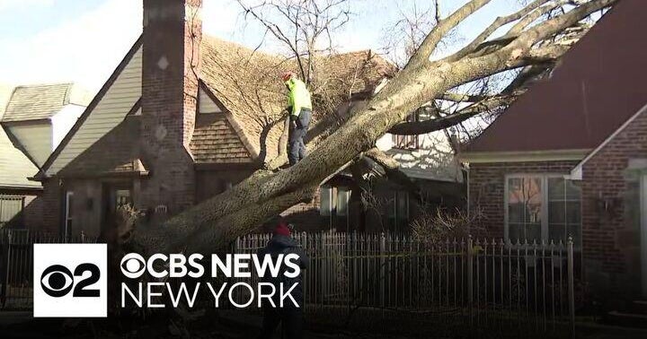 Monday's powerful winds toppled trees across New York City - CBS New York