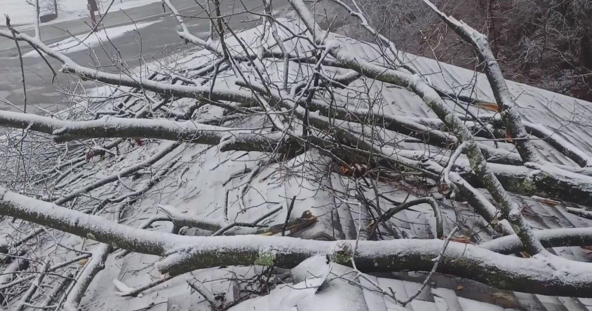 Tree crashes onto Plum bowling center - CBS Pittsburgh
