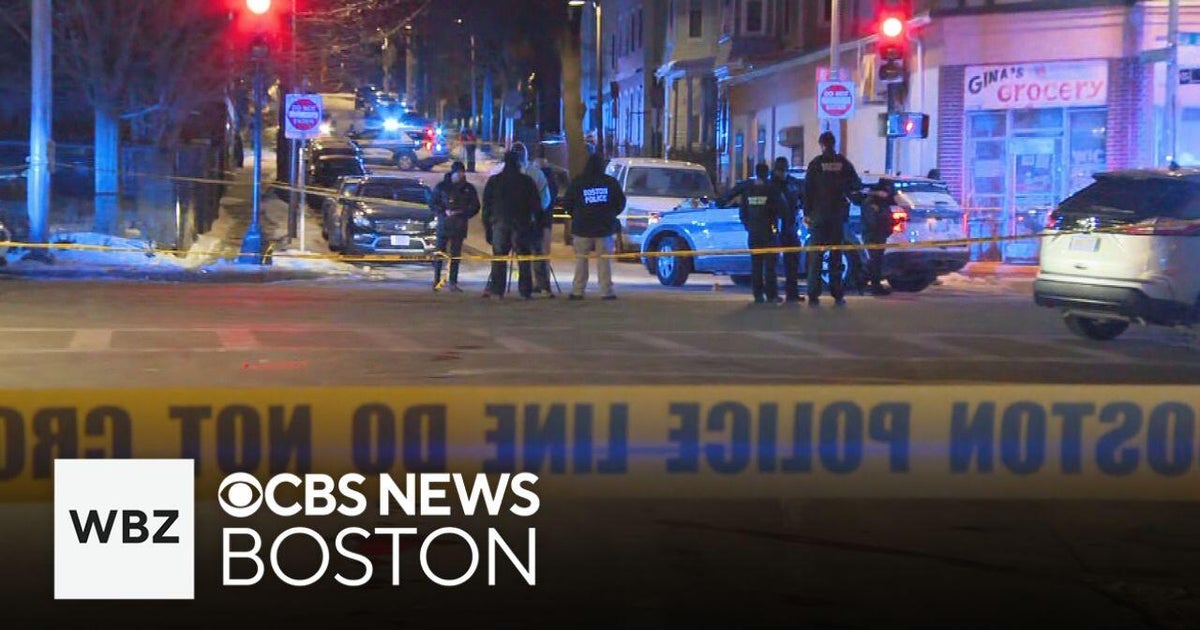 Victims expected to survive after double shooting in Roxbury - CBS Boston
