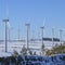 Global green energy exceeds coal power for first time ever, study finds