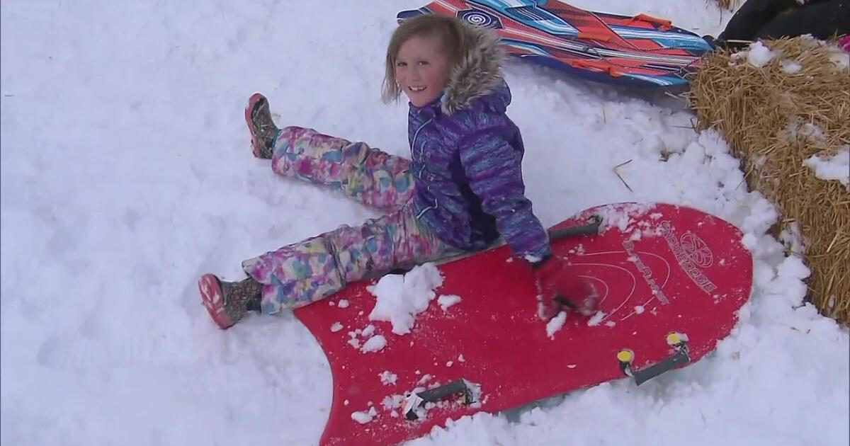 Winter Storm Impacts Southeastern US with Varied Effects