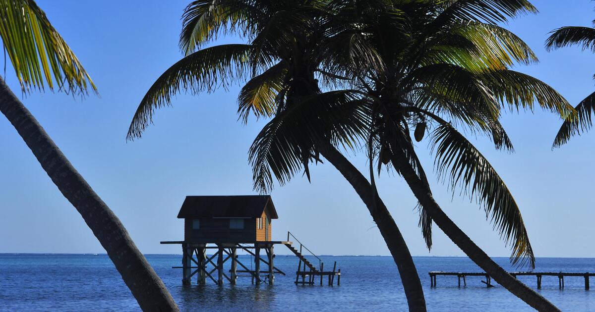 3 American women found dead at beach resort in Belize