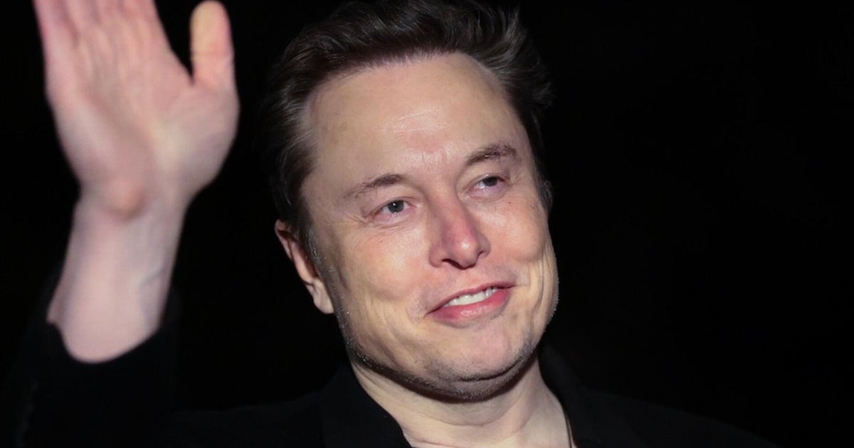 How does the White House characterize Elon Musk's role in DOGE, government?