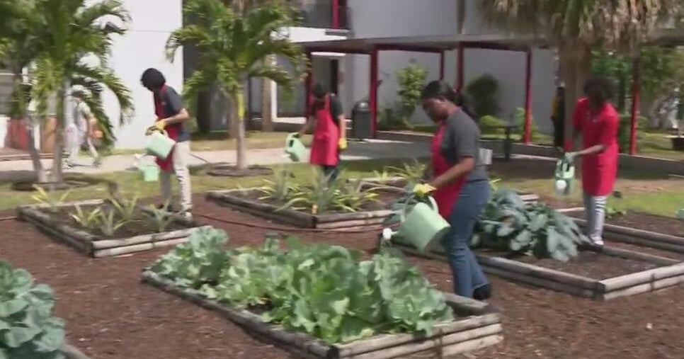 Driftwood Middle School touts its health and wellness programs