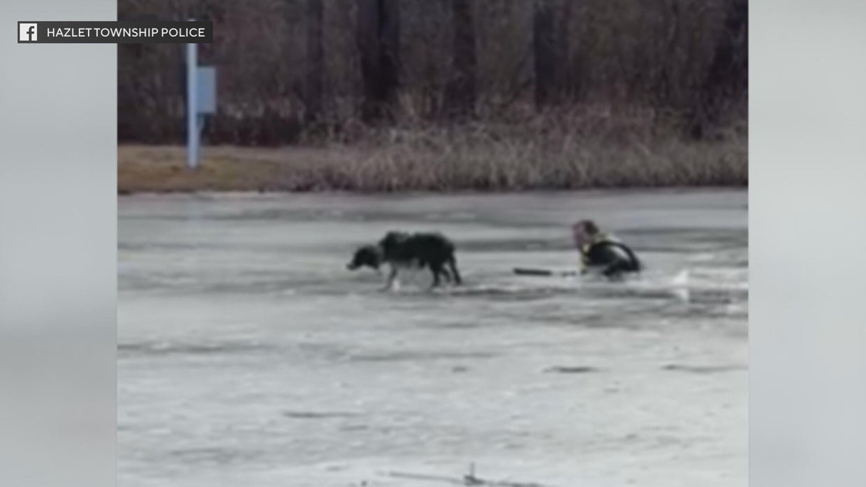 Police officer crawls across ice to rescue dog stranded in New Jersey ...