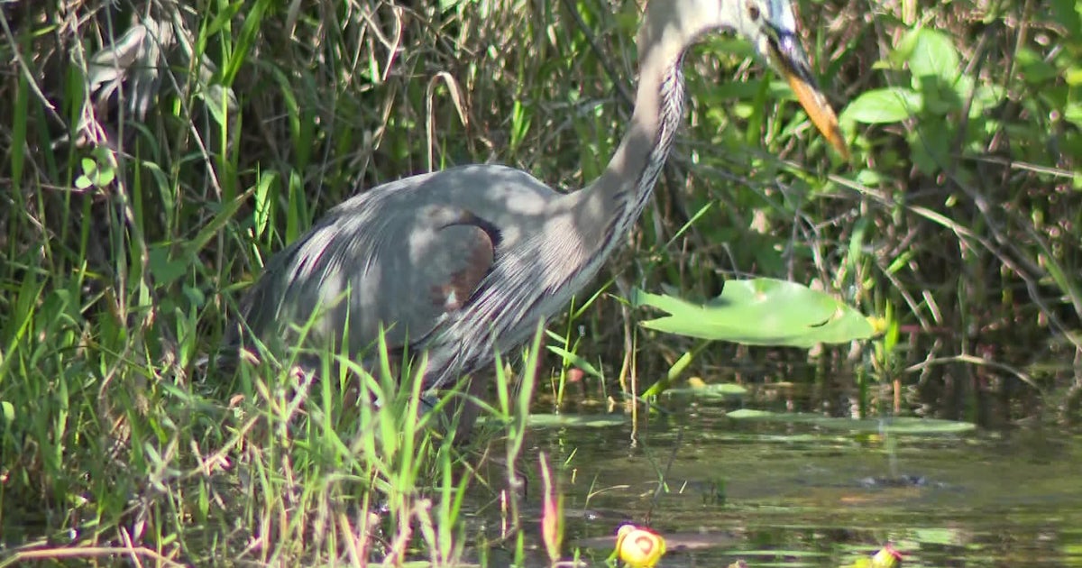 Federal budget cuts hit South Florida’s national parks Federal budget cuts hit South Florida’s national parks