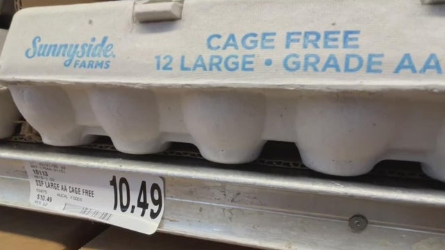 egg shortage 