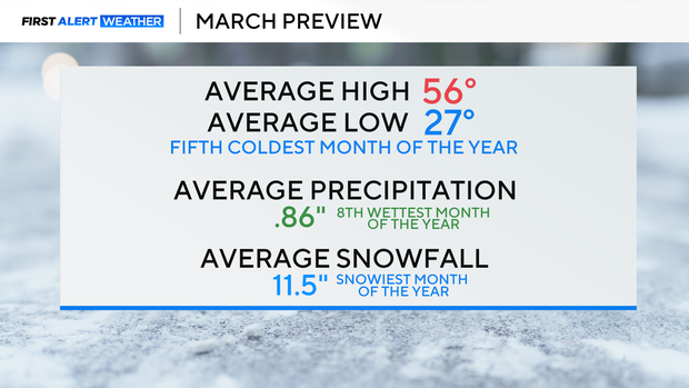 february-monthly-preview.png 