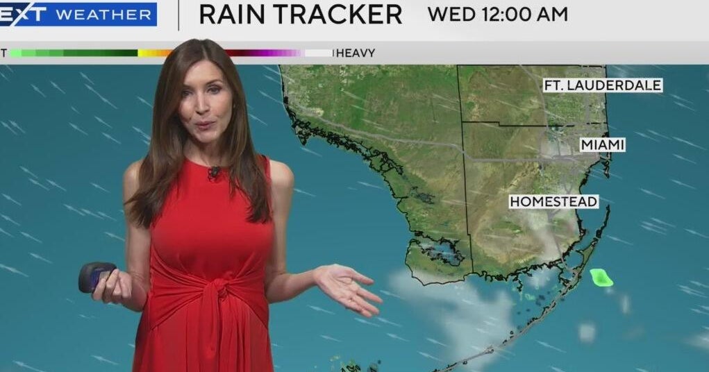 South Florida enjoys a warm, breezy Tuesday South Florida enjoys a warm, breezy Tuesday