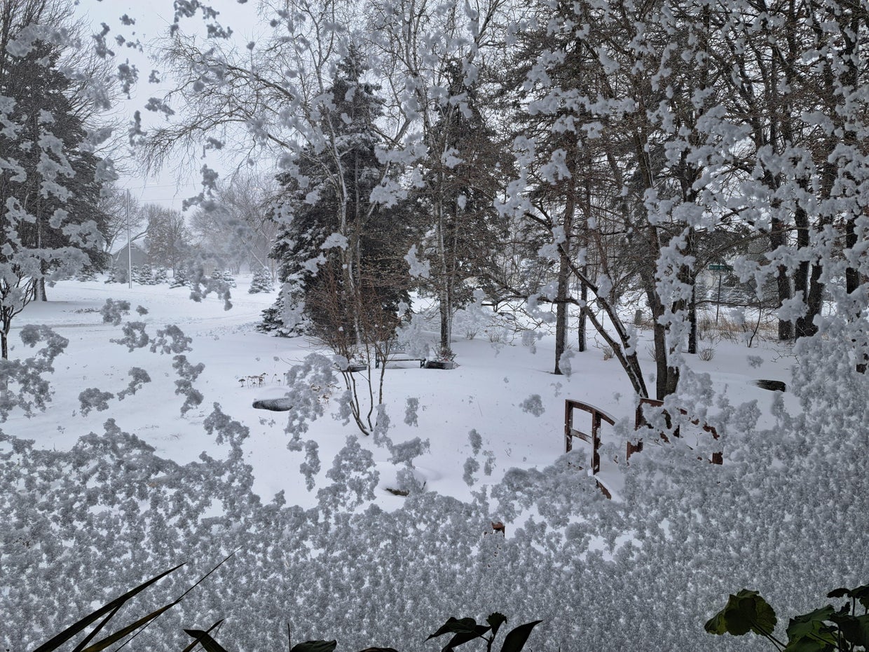 inbound6801660544954860857.jpg Minnesota snowstorm: March 5, 2025