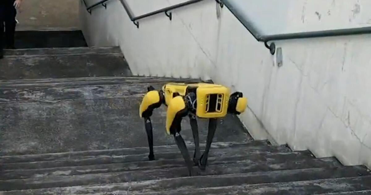 Honolulu police want to teach new tricks to its COVID-era robot dog