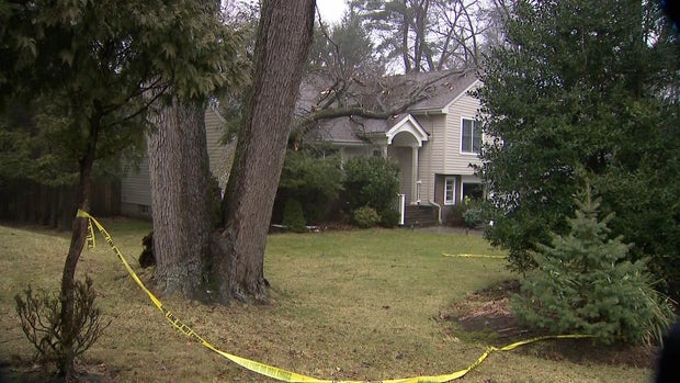 A tree laying on top of a house 