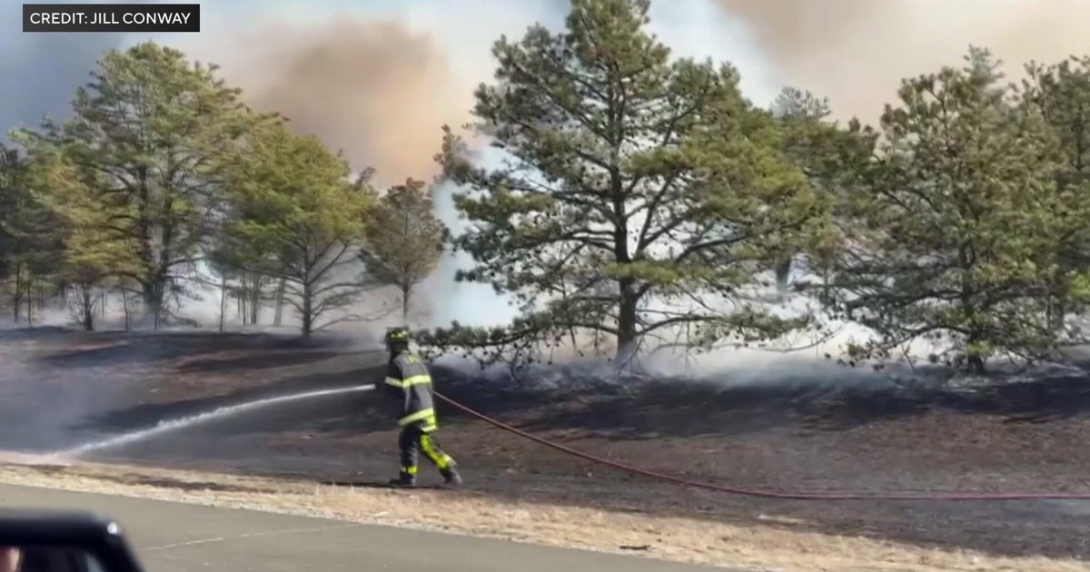 Long Island brush fires prompt state of emergency