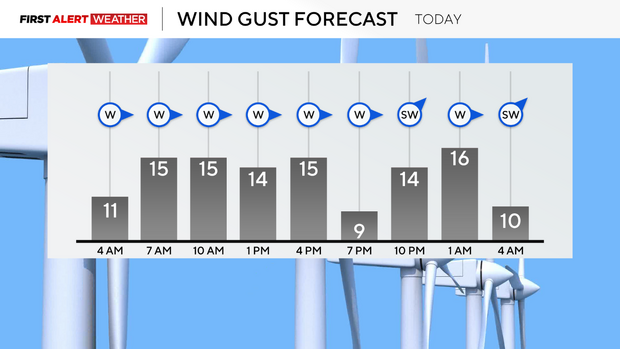 windgustforecast309.png 