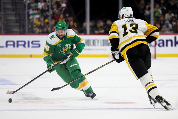 Penguins Wild Hockey 
