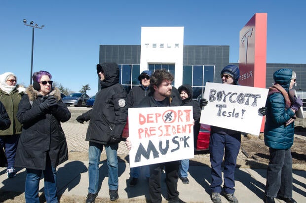 Protest in Westmont against Elon Musk's actions in Trump administration 