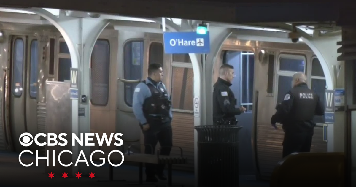 Man killed by CTA train after falling ono the tracks on Chicago's South ...