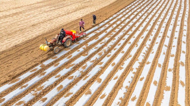 Preparations For 2025 Spring Plowing In Full Swing In China 