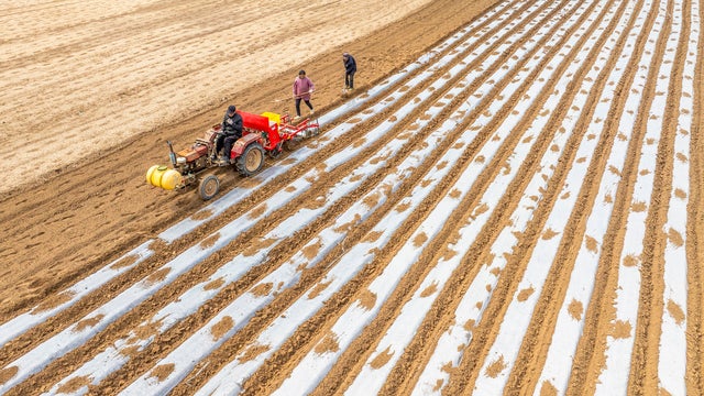 China's retaliatory tariffs are a direct hit to U.S. farmers