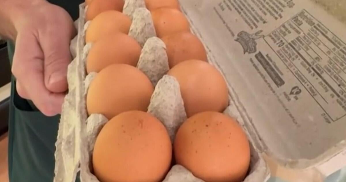 Justice Department investigating egg pricing allegations, sources say