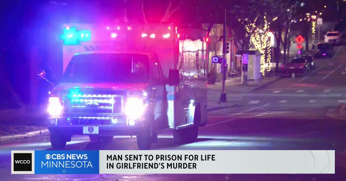 Man sentenced to life in prison for Minneapolis domestic violence ...