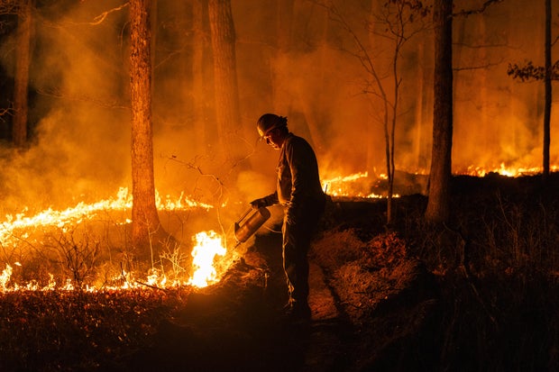 scotland-run-wildfire-2.jpg 