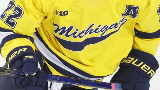 Michigan Women's Hockey 