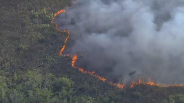 swmd-wildfire-3-19-2025.jpg 