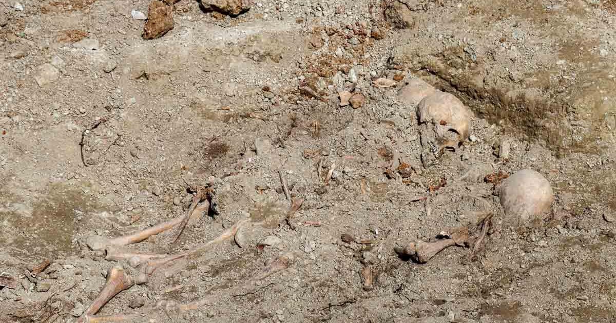 Construction work unearths skeletons of dozens of people executed in Greece during the 1940s