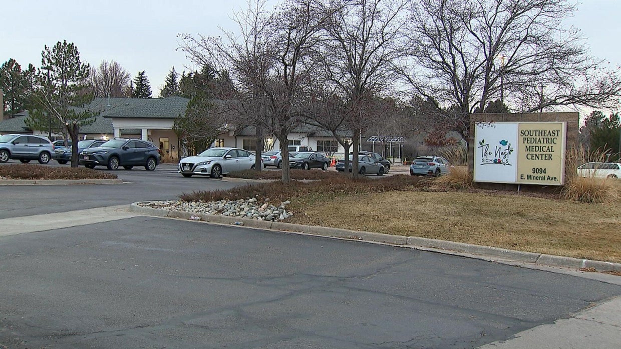 nest-2.jpg 