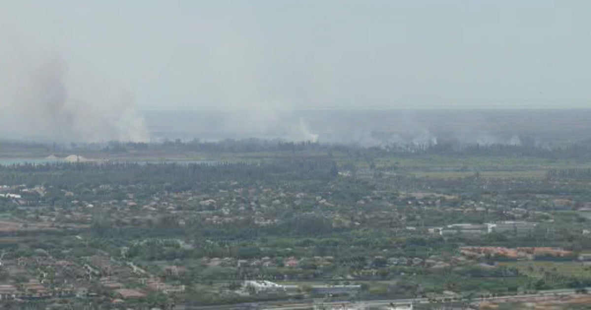 Miami-Dade County brush fire surpasses Southern California’s Palisades Fire in size, Florida Forest Service numbers show