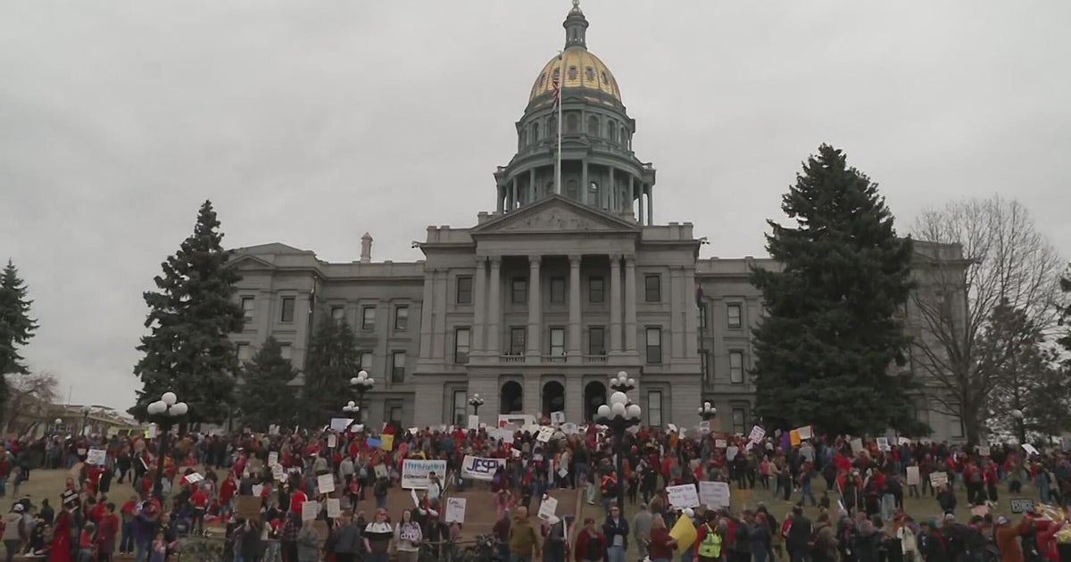 Rallygoers explain why they came to Colorado State Capitol to ...