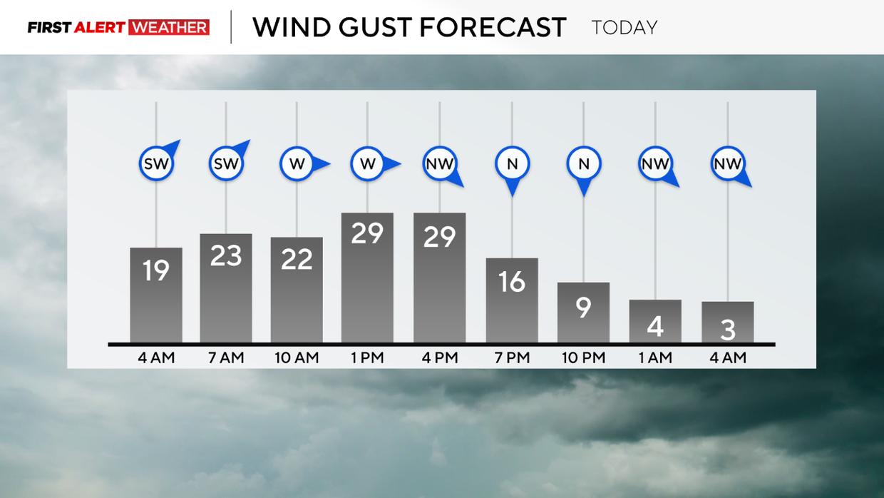 windgustsforecast322.png 