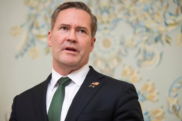 National security adviser Mike Waltz