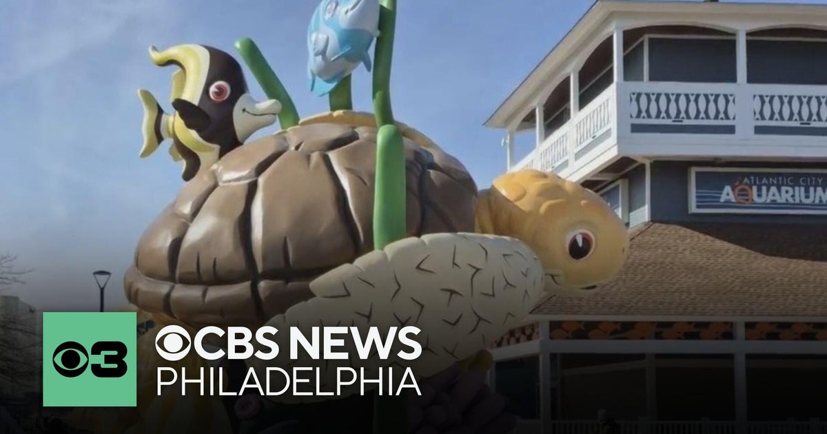 Atlantic City Aquarium Reopens After Extensive Renovations