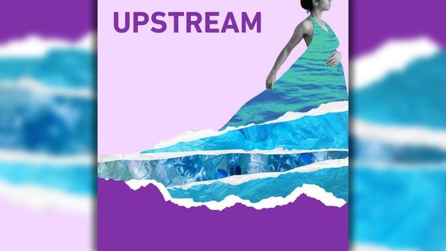 upstream.jpg 