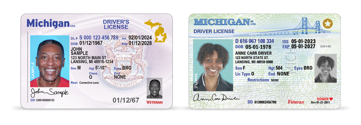 Michigan's Real IDs 