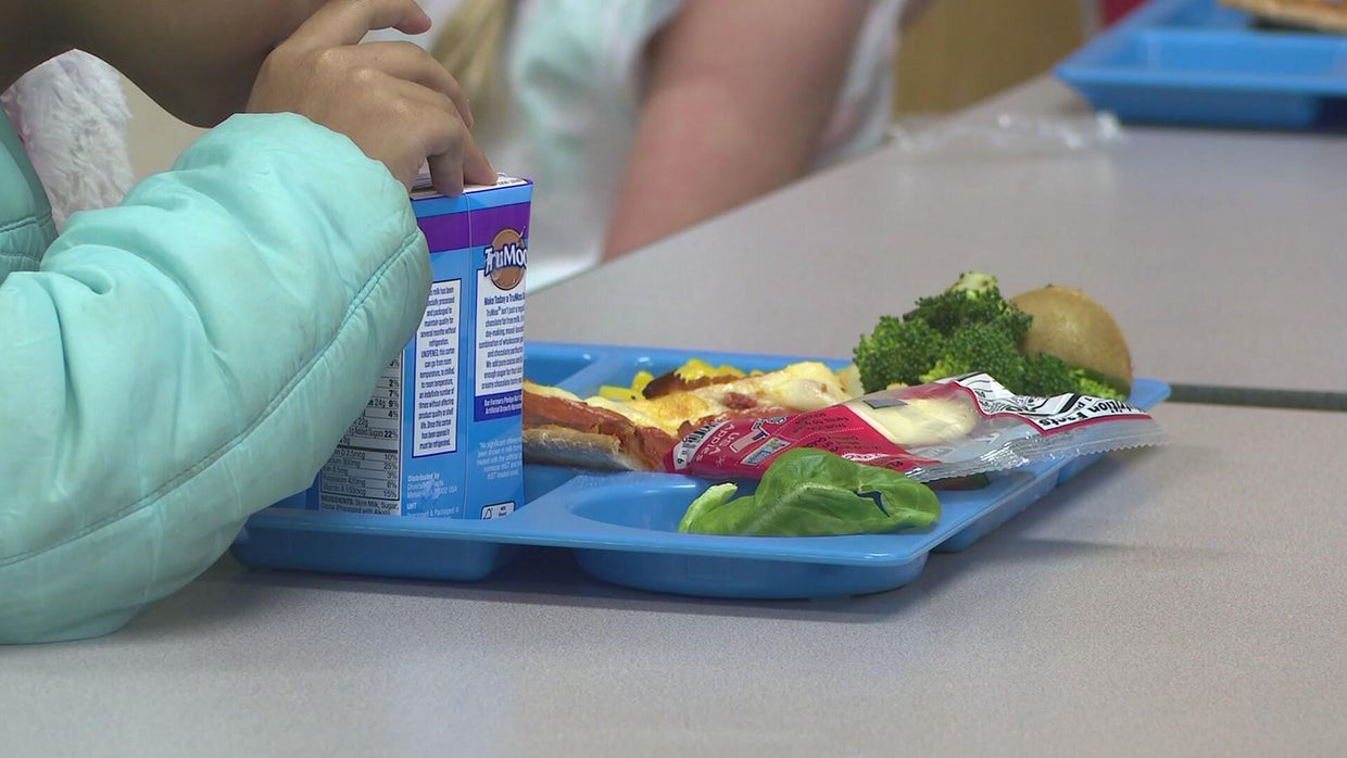 healthy-school-lunches-for-all.jpg 