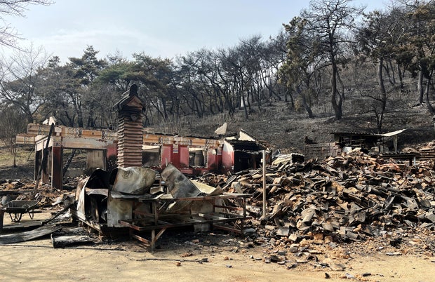 Burnt Unramsa temple is pictured after a wildfire devastated the area in Uiseong
